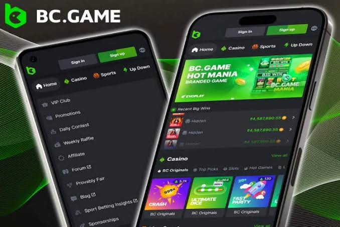 BC.Game लाइसेंस एक विस्तृत दृष्टिकोण